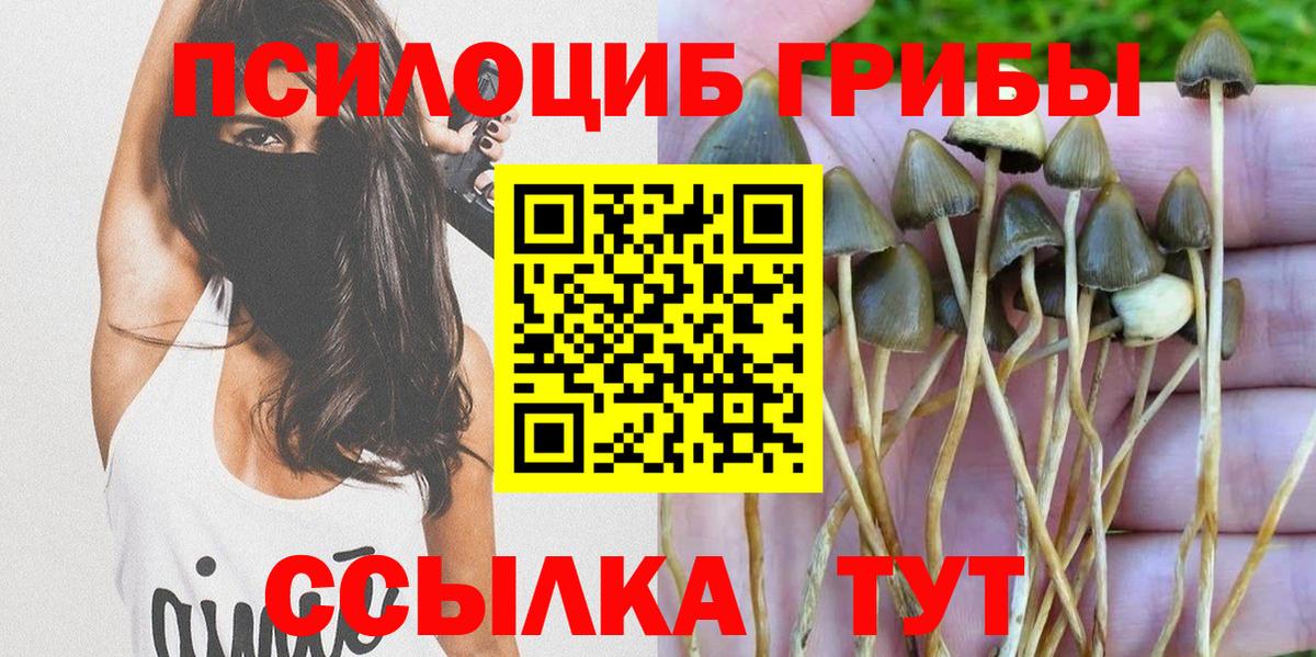 Галлюциногенные грибы Psilocybe  Вход с VPN  Галлюциногенные грибы Magic Shrooms  Чистополь 